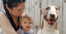 YouTuber / nieuwe moeder euthanaseert hond omdat hij ‘agressief’ en ‘oud’ is