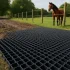 De ultieme handleiding voor het gebruik van een slowfeeder hooinet