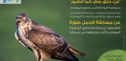 BirdLife fotowedstrijd in het Midden-Oosten